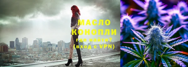 индика Новокубанск