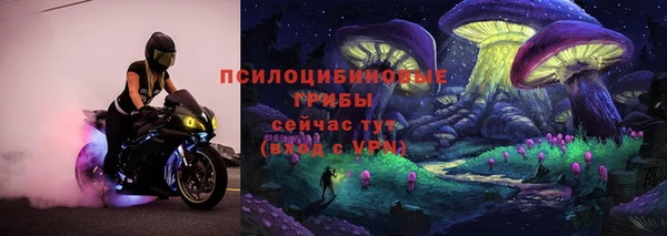 индика Новокубанск
