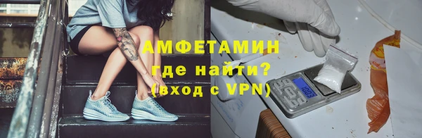 индика Новокубанск