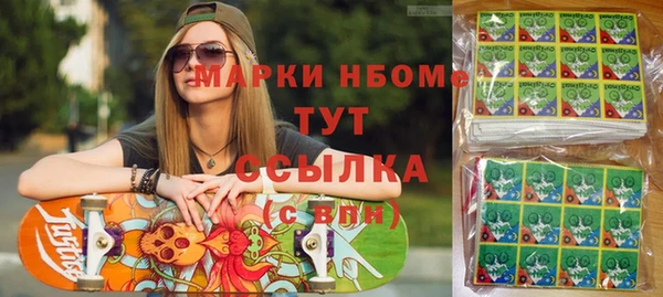 индика Новокубанск