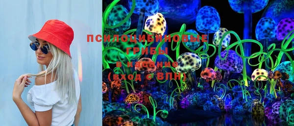 индика Новокубанск
